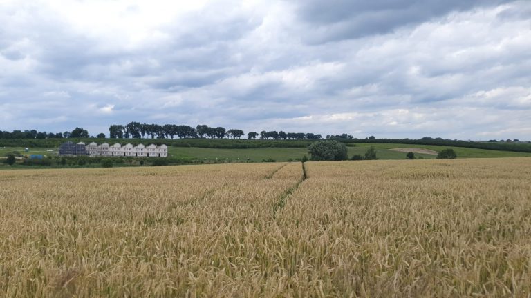 PHOTO-2020-07-16-07-44-43_1