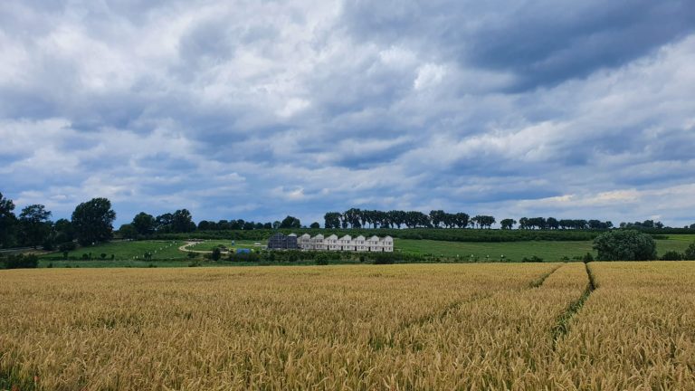 PHOTO-2020-07-16-07-44-44