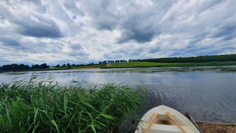 PHOTO-2020-07-16-07-44-45_1